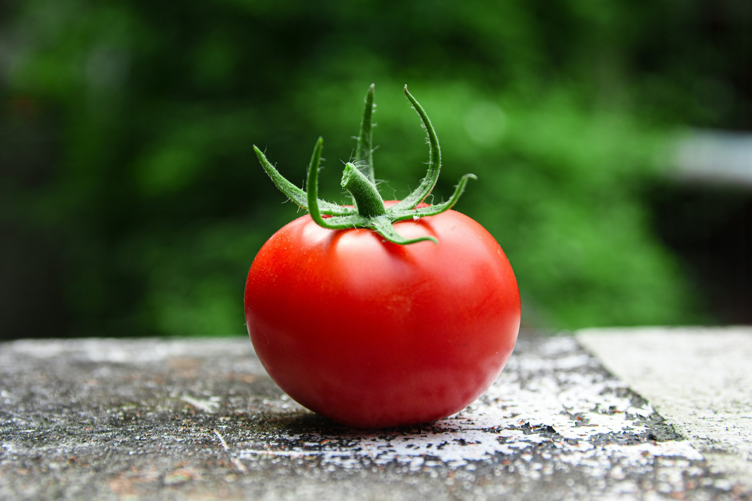 Juicy ripe tomatoes